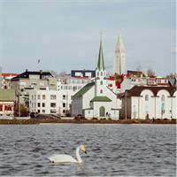 Explore Reykjavik in 60 minutes with a Local