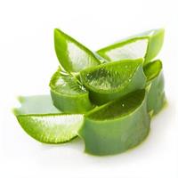 1 Hour Aloe Vera Moisten After Sunshine - Free Transportation