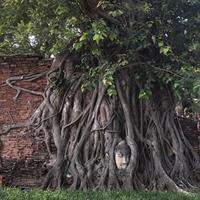 Ayutthaya One Day Tour go by Coach - back by River Cruise - Grand Pearl Cruise