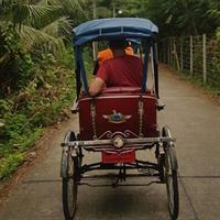 2-Hour Bangkok Longtail Canal Tour: Wat Arun &amp; Big Buddha Views