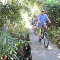 5-Hour Bike Tour of Hidden Bangkok