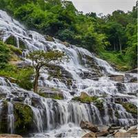 Doi Tung &amp; Royal Villa Guided Cultural Tour
