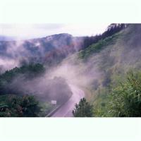 Doi Tung &amp; Royal Villa Guided Cultural Tour