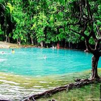 ECO Premium Jungle Hot Springs and Temple Tour