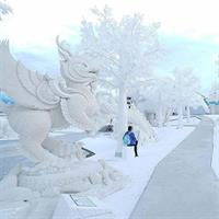 Frost Magical Ice Of Siam at Pattaya with Return Transfer
