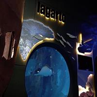 Aquarium Phuket and AR Trick Eye Museum Combo Tickets