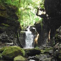 Hidden Valley Springs with Lunch from Manila