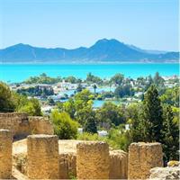 Carthage, Bardo Museum, Sidi Bou Said and Medina Private Day Tour