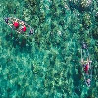 Clear Bottom Kayak and Snorkel Tour at Turtle Town, Makena