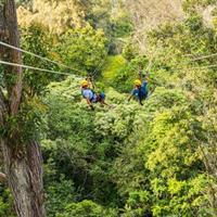 Big Island Kohala Zip and Dip Tour from Kona