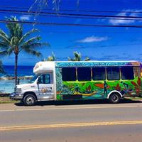 1/2 Circle Island & North Shore Activities with The Surf Bus