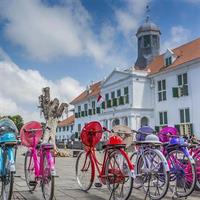 Jakarta Private Tour with local Guide & Lunch