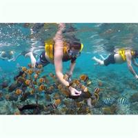 Gili island Snorkeling Half Day Trip departure from Gili Trawangan