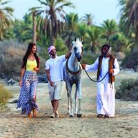 Arabian Morning Horse Riding &amp; Stable Tour