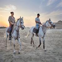 Arabian Sunset Horse Riding &amp; Stable Tour