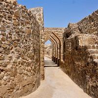 Archaeological Tour Bahrain
