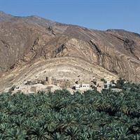 Cool and Green Jabal Akhdar Tour from Muscat