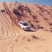 Desert Safari to Wahiba Sands and Wadi Bani Khalid from Muscat