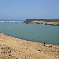 East Jewels with Wadi Darbat :Salalah tours