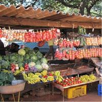 Chinotimba Township Tour (Zimbabwe)