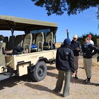 3 hrs Game drive in Chobe National Park (Leon Safaris Gold)
