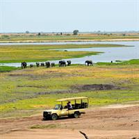 Chobe National Park Game Drive, Botswana
