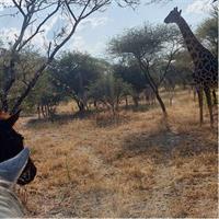 Maun Horse Riding Safari in Private Game Lodge