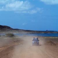 Island Adventure with Shark Experience from Santa Maria