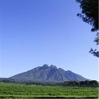 1 Day Rwanda Mount Bisoke Hike Adventure Tour in Volcanoes Park
