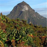 1-Day Scenic Trek through Villages and Rolling Hills in Rwanda