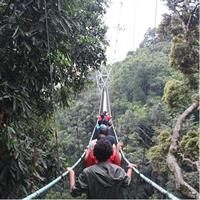 1 Day Canopy walk way in Nyungwe Natioinal park