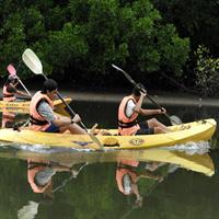 JungleWalla Langkawi Kayaking &amp; Swimming
