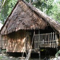 Kawa Kawa River Safari: Proboscis Monkeys, Sunset &amp; Fireflies