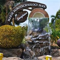 Langkawi Adventure Tour with SKYTREX, ATV Ride & Private Pickup