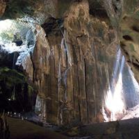 Kinabatangan River Cruise from Sandakan