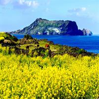 Jeju Premium Small Group UNESCO Day Tour - East Course