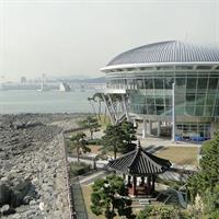 Busan City Tour Including Haedong Yonggungsa Temple And APEC House