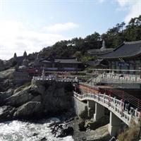 Busan City Tour Including Gamcheon Culture village and Haedong Yonggungsa Temple