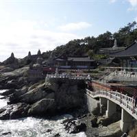 Busan City Tour - Haedong Yonggung Temple And Shopping in Lotte Premium Outlet
