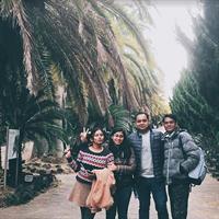 West Jeju Full Day Tour Package By Taxi