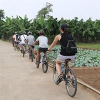 A Glimpse Of Hanoi ,Cultures, History, Backstreet, Train Street