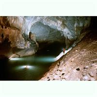 Deluxe Small Group : PHONG NHA CAVE - Paradise Cave Full Day Tour