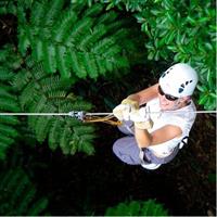 Largest Zipline in South Pacific &amp; Cave Exploration in Nadi