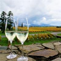 Progressive Wine and Gourmet Trail of Marlborough