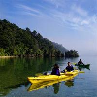 Half day Sea Kayak Guided Tour from Picton