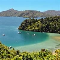 Full Day Kayak &amp; Walk Tour-Queen Charlotte Sound &amp; Link Pathway