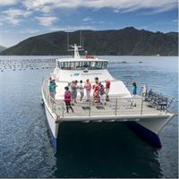 Seafood Odyssea Marlborough Sounds Cruise from Picton