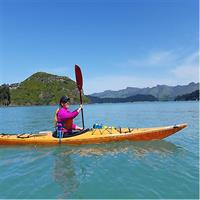 8hr Sea Kayak Tour Lyttelton/Christchurch Lunch, guide, transport