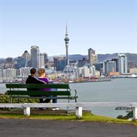 Auckland City Small-Group Morning Discovery Tour