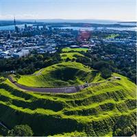 Auckland City &amp; Native Forest Experience - Fully Guided Day Tour